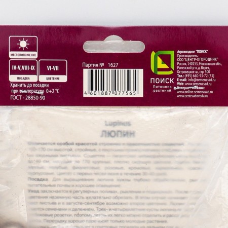 Lupine multi-leaved "Nawblemeiden", 1 pc, rr I, spring 2025-1