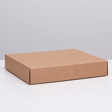 Box the team without printing a lid is a brown without a window 37 x 32 x 7 cm