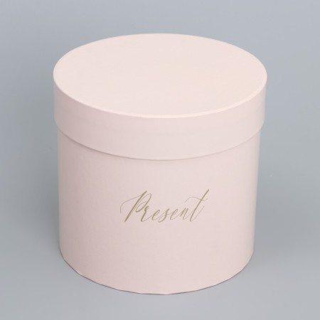 A set of hats for colors 4 in 1, gift packaging, “delicate”, 14 x 13 cm - 20 x 17.5 cm-12