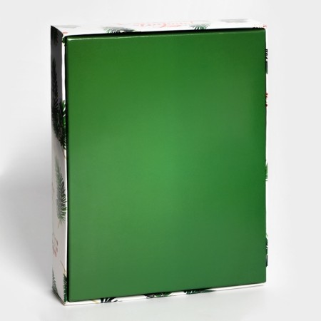 New Year. Box for 12 sweets "Christmas tree branches", 19 x 15 x 3.6 cm, confectionery packaging-2