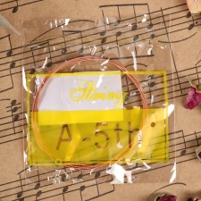 String for the acoustic guitar of Music Life, No. 5, thickness 042, steel