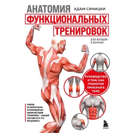 Anatomy of functional training. The guide on how to competently pump the body. Sinitski A.