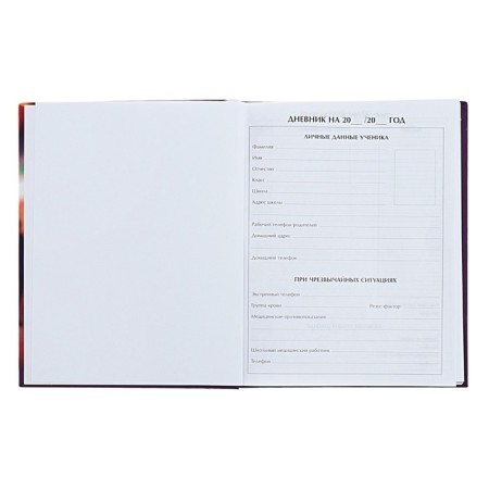Universal diary for grades 1-11 Stylish Girl, hard cover, matte lamination, selective varnish, 40 sheets-3