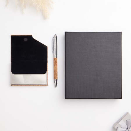 Gift set 2V1 (pen, business card)-1