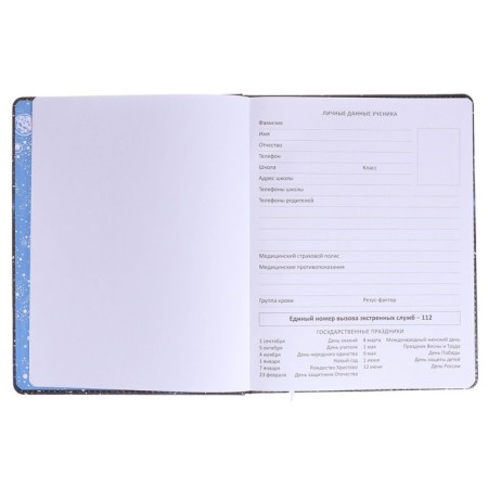Universal diary for grade 1-11 Astronaut, solid cover, artificial leather, foam rubber, lies, 80 g/m2-3