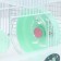 A cage for rodents "Pigger", 23 x 17 x 33 cm, transparent, green content