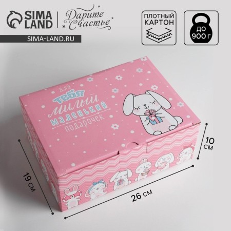 Box - Penal, Gift packaging, “Cute little gift”, 26 x 19 x 10 cm