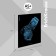 A notebook of 96 sheets in the Erichkrause "X-Ray in detail", holographic lamination, an offset block 100%, mix
