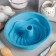 The form for baking the share "German cupcake. Custard cookies ", silicone, d = 22 cm, color mix
