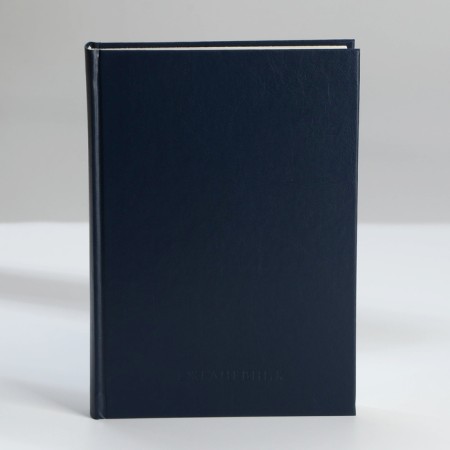 Deliciper of Leduced A5, 160 liters. Solid cover. Leatherette. Blue. Cream block-8