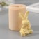 Silicone Mold "Hare with Flower" 3.5x3x5.5 cm mix