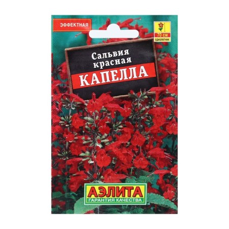 Salvia flowers "Capella", red, 0.1 g