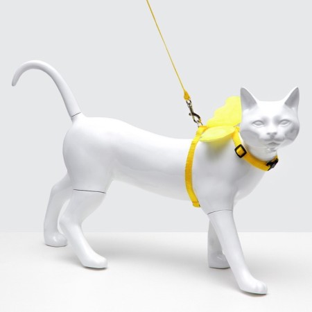 Angel ammunition set, size s, slope 20-34 cm, leash 120 x 1 cm, yellow-3