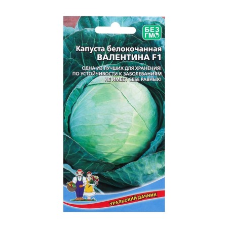 White cabbage "Valentina F1" late, head of cabbage 3.5-5 kg, very dense 0.1 g-1