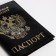 Cover for passport, black color