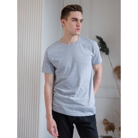 Male T -shirt, size 44, color gray melange-3