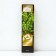 Black currants (green -fruited) "Snow Queen", 1 pc, tube, spring 2025