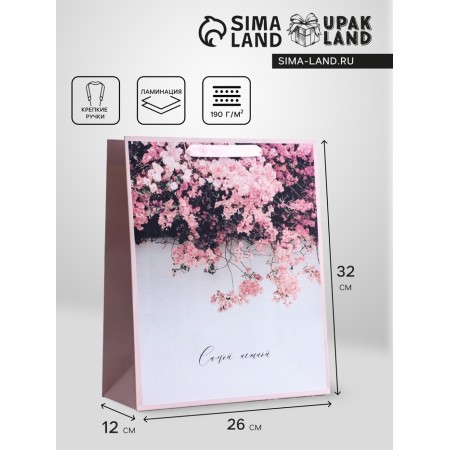 Gift Vertical Pink Gift Pink, M 26 × 32 × 12 cm