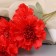 Artificial flowers "Clove Caspar Galant" 58x7 cm, red