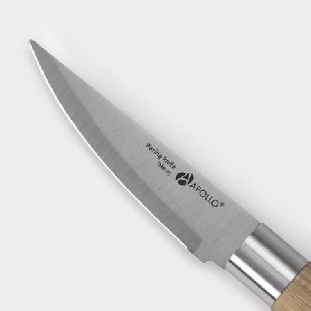 Kitchen knife for vegetables Apollo Timber, blade 8 cm-1