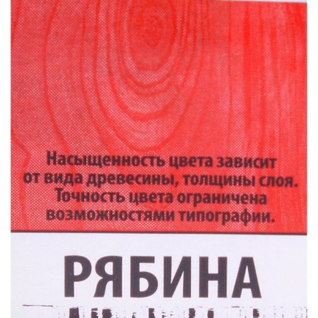 Tool for protecting wood, mountain ash, 3 l-1