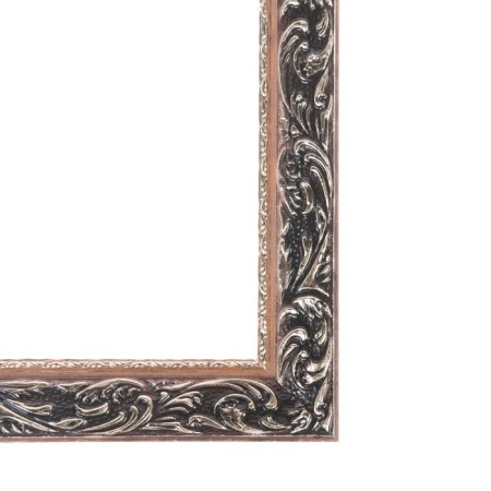 Frame for paintings (mirrors) 50 x 70 x 4 cm, tree "Versailles", gold-2