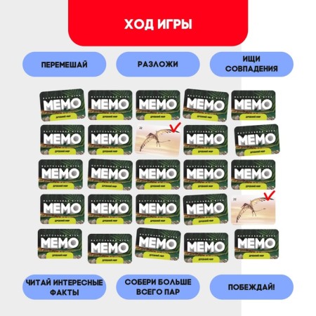 Мемо «Динозавры»-2