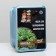 Micosenele Microsideum growing for growing on the balcony