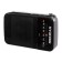 Portable Hyundai H-PSR110 radio receiver