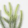 Decor for creativity "spruce branch" Green 36 cm