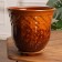 Pot Flower Uta No. 2, brown 5.5 l