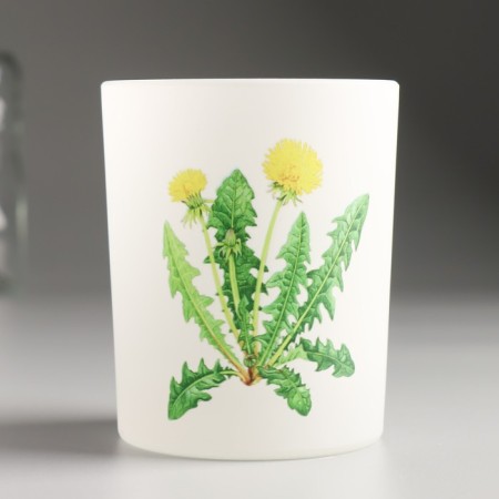 Climb "Botany. Dandelion" 9.3x7.7 cm, 240 ml-1