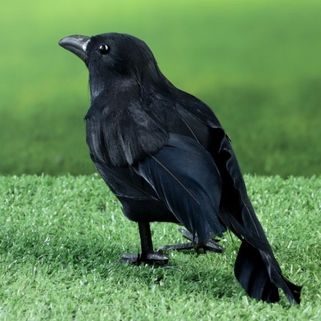Figure "Raven" 20x6x10cm-2
