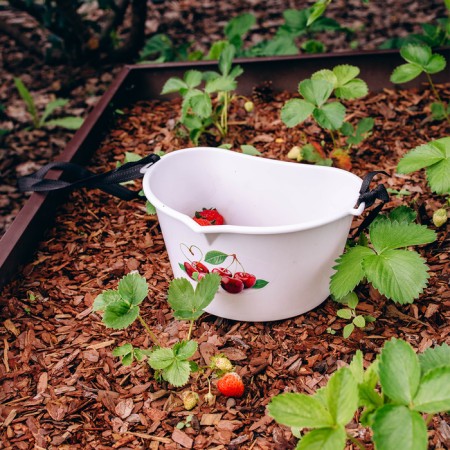 Capacity for collecting berries, 3 l, "Cherry"-11