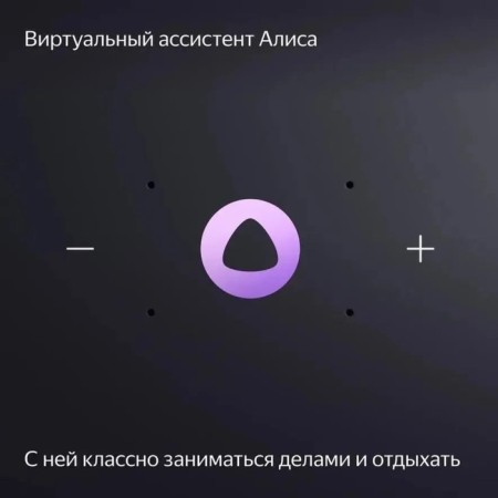 Smart column "Yandex Station MIDI", voice assistant Alice, 24W, Wi-Fi, BT 5.0, gray-6