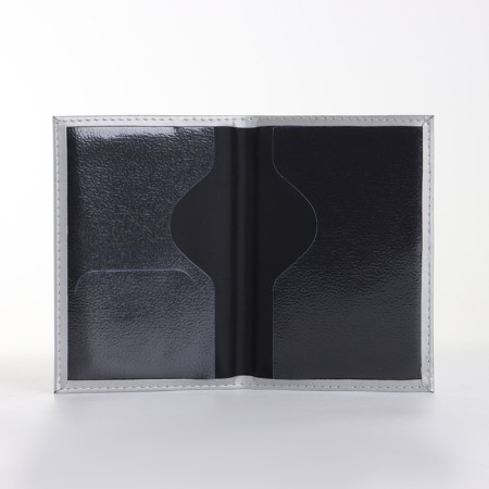 Cover for passport, silver color-2