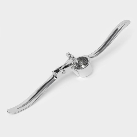 Press for garlic "Ernest", 15 cm, silver color-2