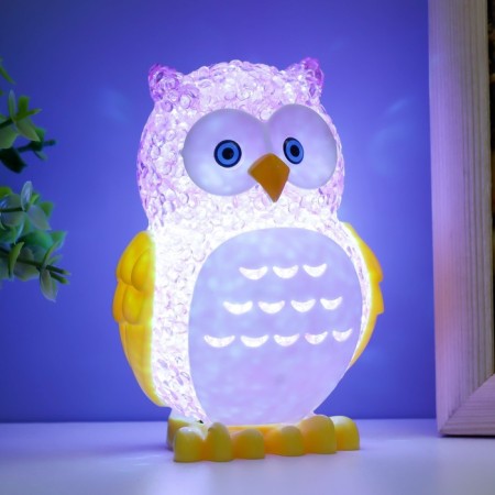 Nightnick "Eagle owl" Led RGB from 3xlr44 mix 6x7x10cm Risalux-4