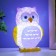 Nightnick "Eagle owl" Led RGB from 3xlr44 mix 6x7x10cm Risalux