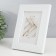 Photo frame Plastic "Mira" 10x15 cm, 651761-4, (plastic screen)