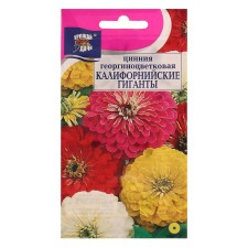 Cinnia flowers mixture 