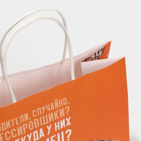 Gift package, packaging, "male", 22 x 22 x 11 cm-3