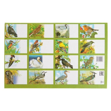 Training cards "Migratory birds of Russia", 16 cards-2