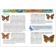Children's Encyclopedia "Insects"