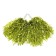 Corrugated pompons, set 2 pcs., Salad color