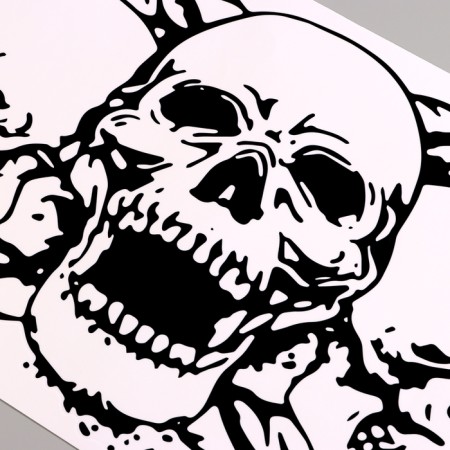 Stick 3D interior skull 57*40cm-1