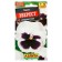 Viola flower seeds "Everest", DV, 0.1 g