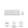 Keyboard + Mouse A4Tech FSTYLER F1010 CLAV: White/Gray Mouse: White/Gray USB Multimedia (F10 10046