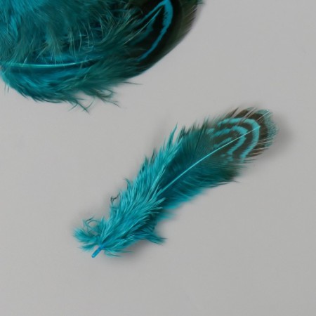 Decorative pheasant feather "Rice. Blue" set 20 pcs h = 5-7 cm-2