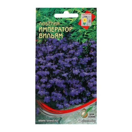 Lobelia flowers "Emperor William", 1000 pcs-2